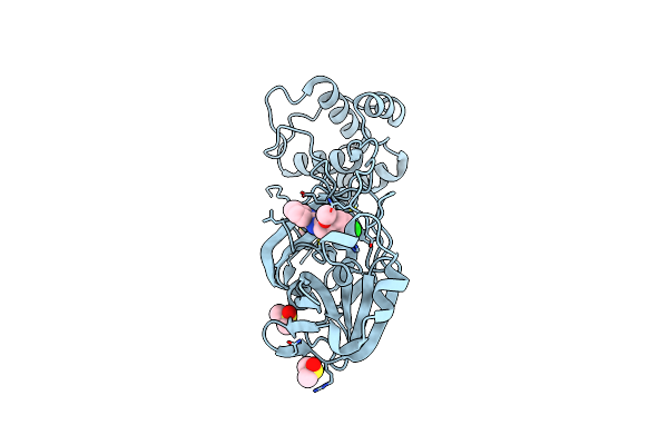 7GFA image