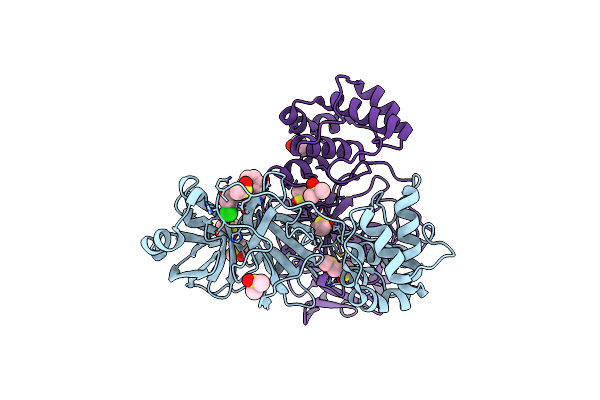 7GLP image