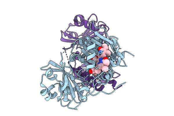 7GRB image