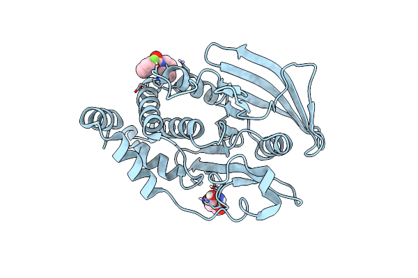 7GSC image