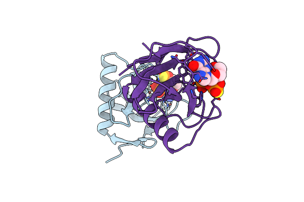 7GSP image