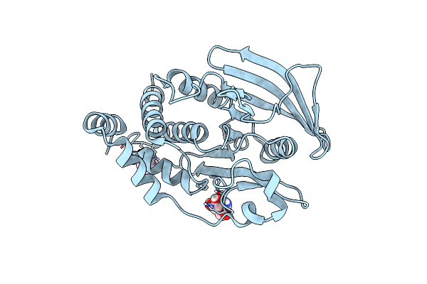 7GTF image
