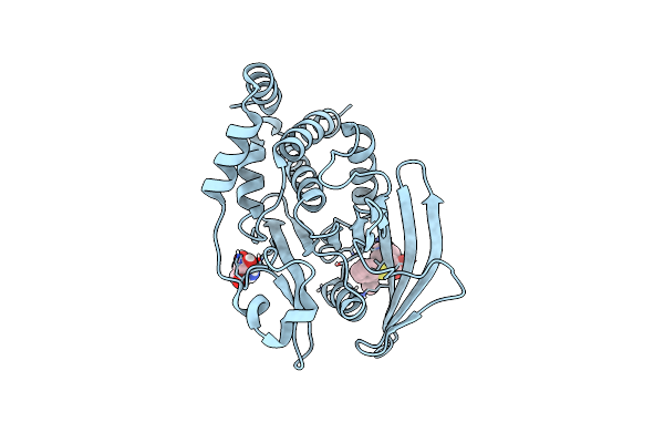7GTU image
