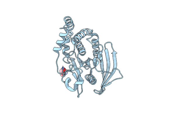 7GTW image