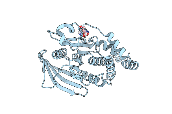 7GTX image
