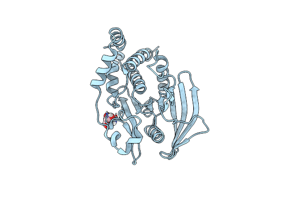 7GTZ image