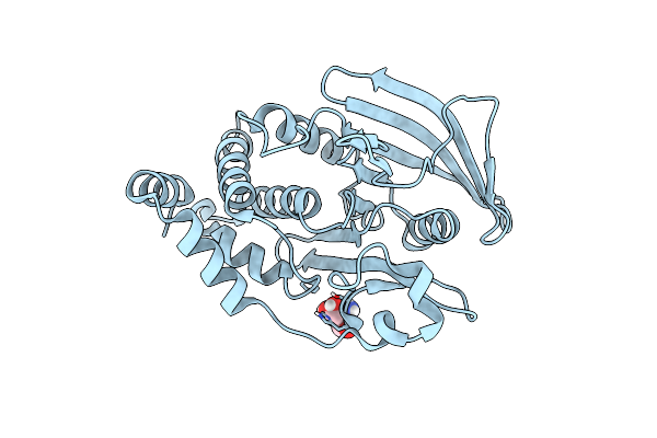 7GUC image