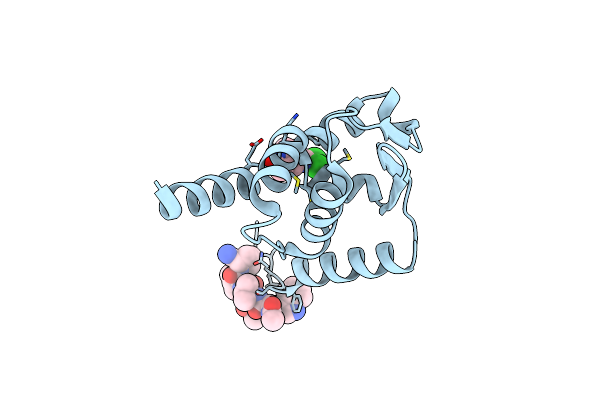 7GVA image