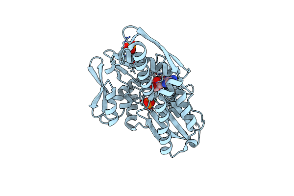 7GYC image