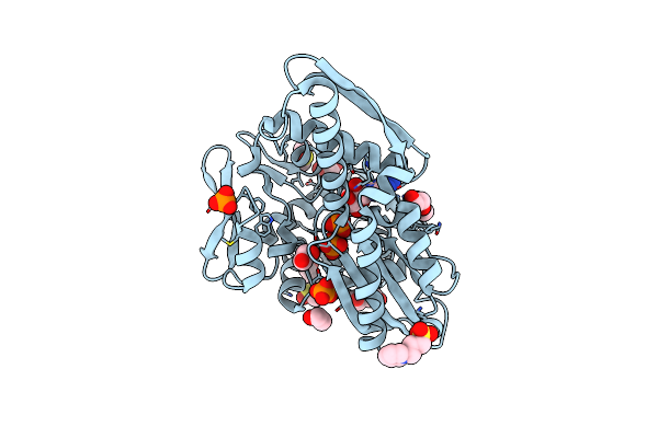 7GYN image