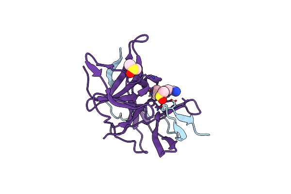 7H2D image