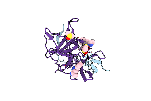 7H2E image