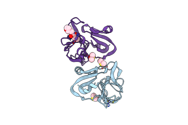 7H2X image