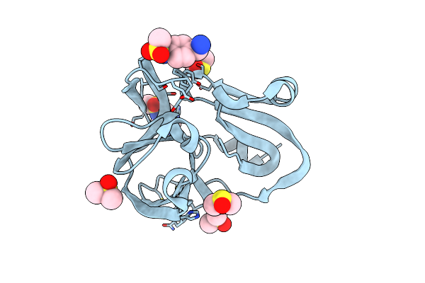 7H2Z image