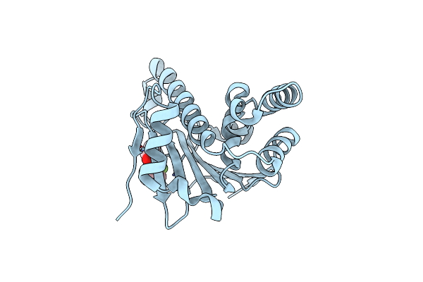 7H9M image