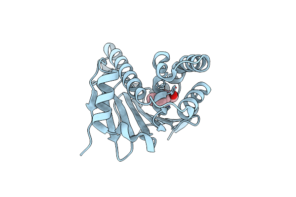 7H9N image
