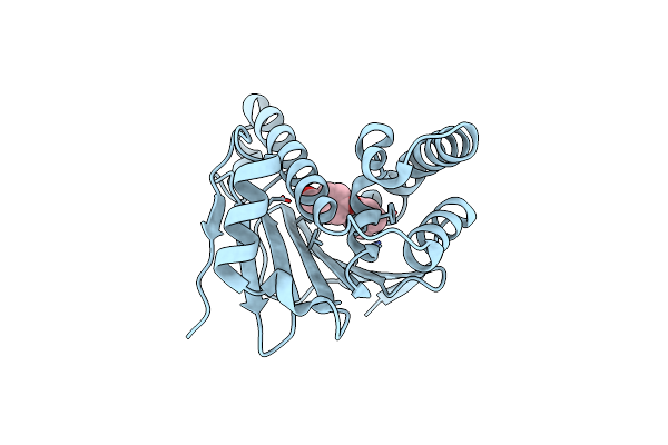 7H9O image