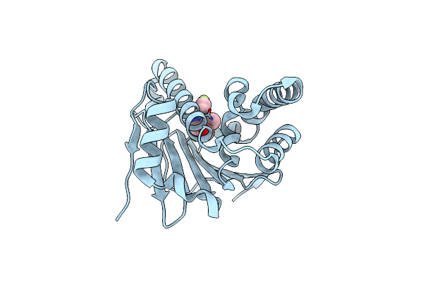 7HAP image