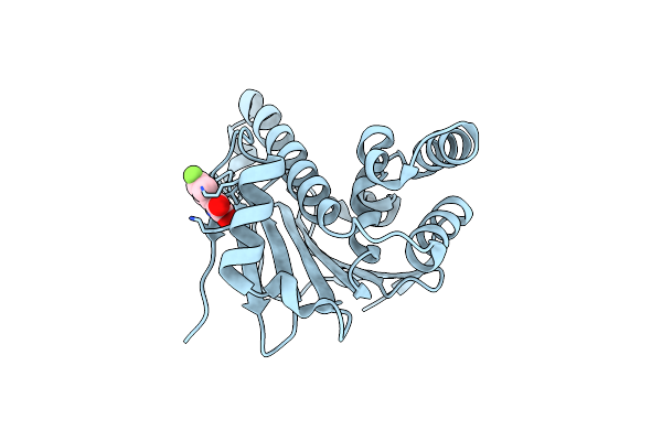 7HB6 image