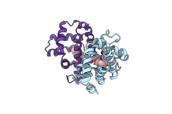 7HBI image