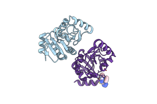 7HCB image