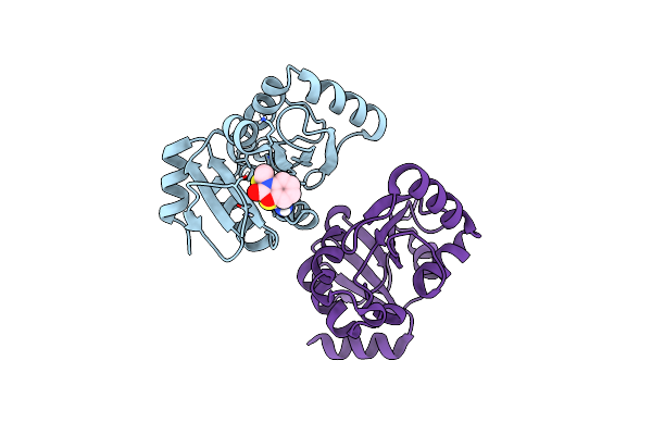 7HCC image