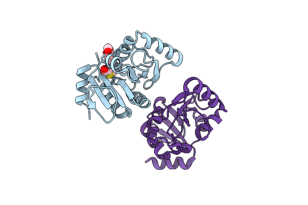 7HCG image