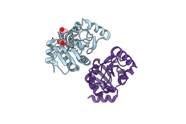 7HCP image