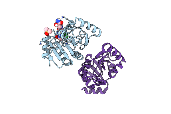 7HCR image