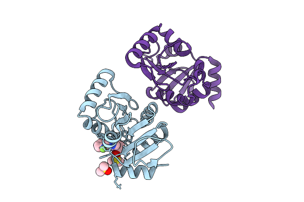 7HHT image