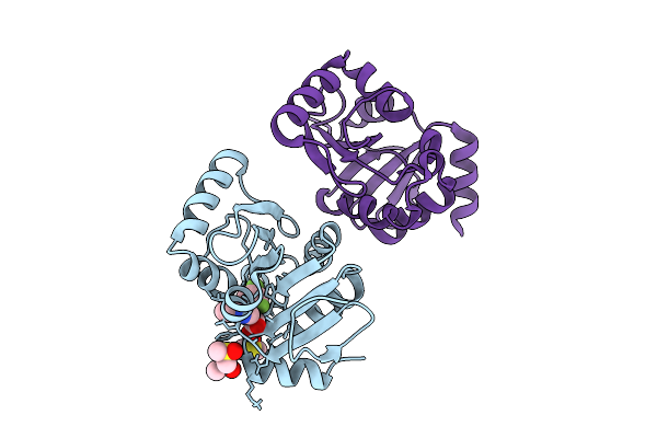 7HHV image