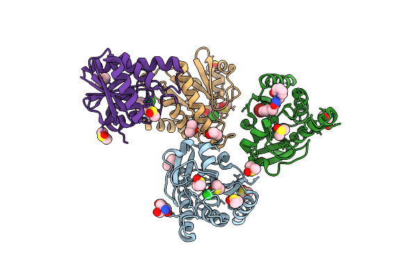 7HIV image