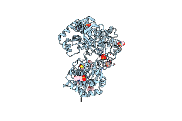 7HL1 image