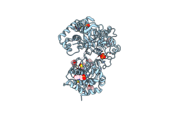 7HL6 image