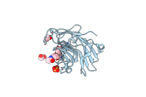 7HNO image