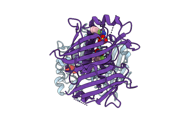 7HRA image