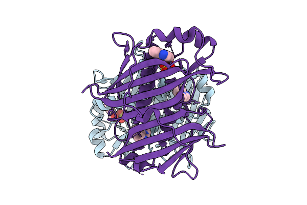 7HRI image