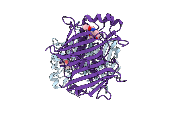 7HRX image