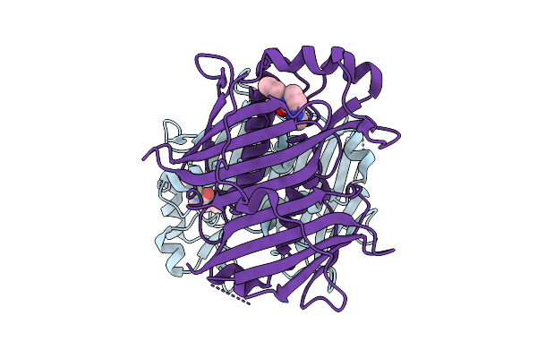 7HSA image
