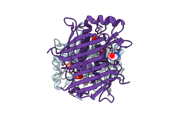 7HSG image
