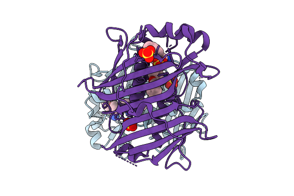 7HSP image