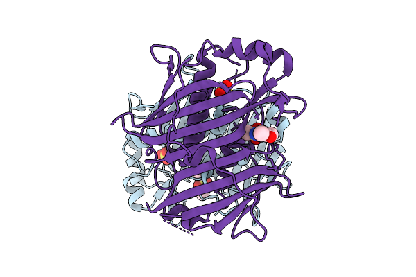 7HSR image
