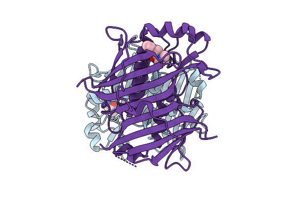 7HSS image