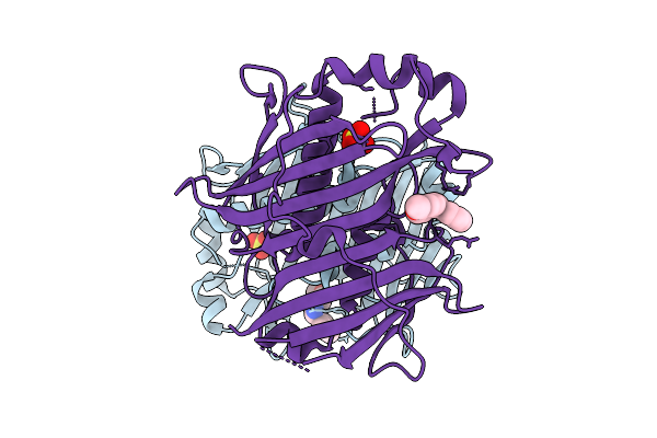 7HST image