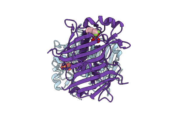 7HTB image