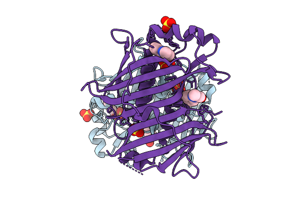 7HTL image