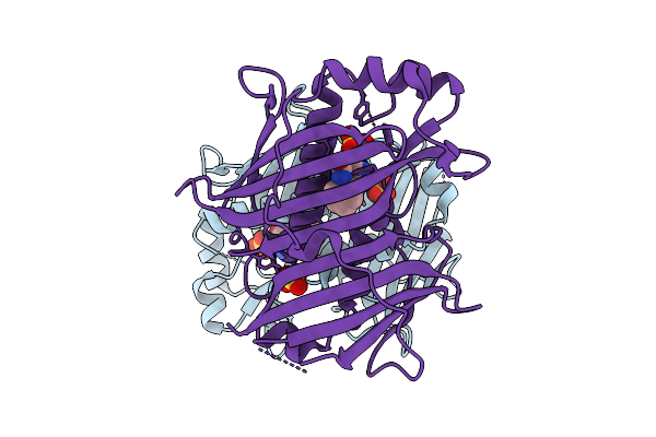 7HTR image