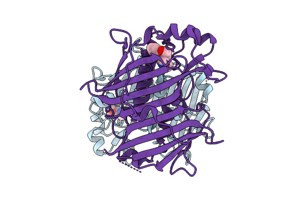 7HTT image