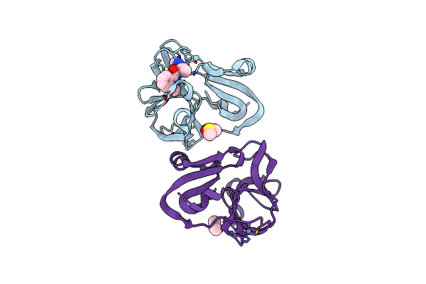 7HVT image