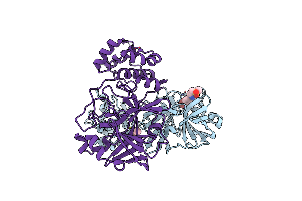 7I1D image